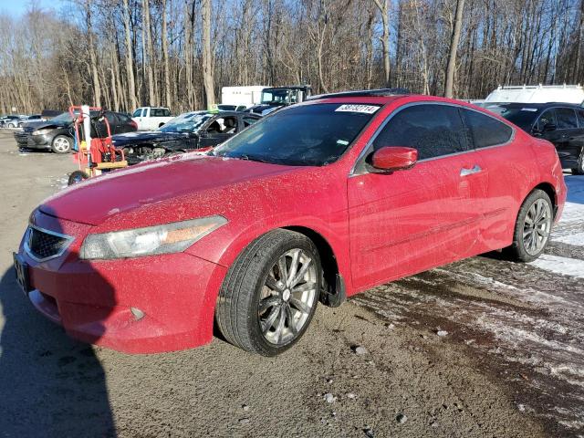 2008 HONDA ACCORD EXL 2008 image
