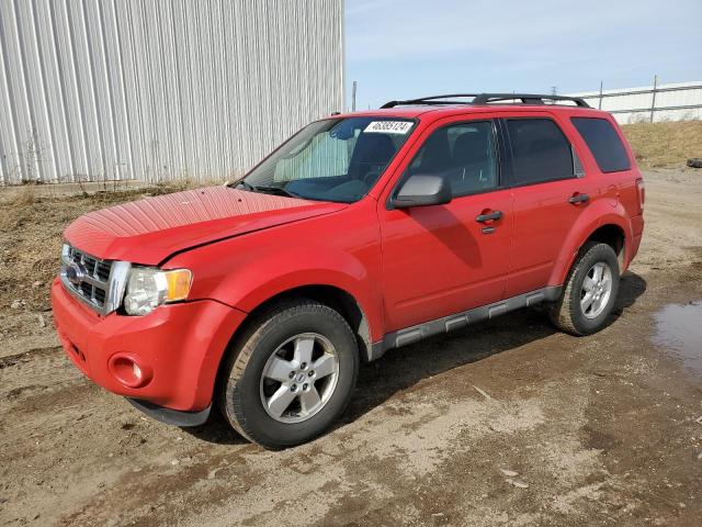 Obraz 2009 FORD ESCAPE XLT 2009