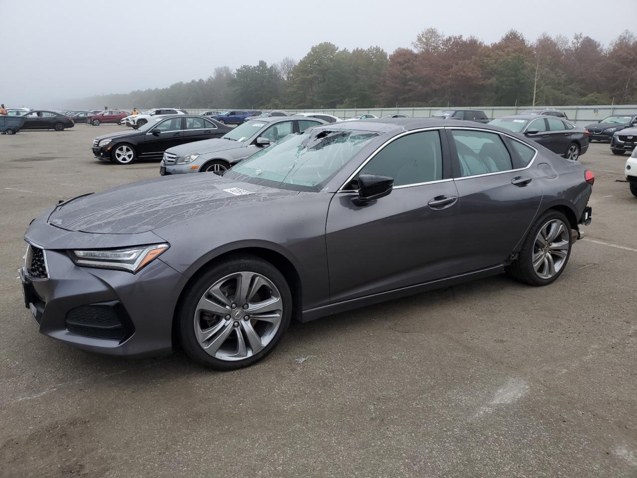 Obraz 2021 ACURA TLX TECHNOLOGY 2021