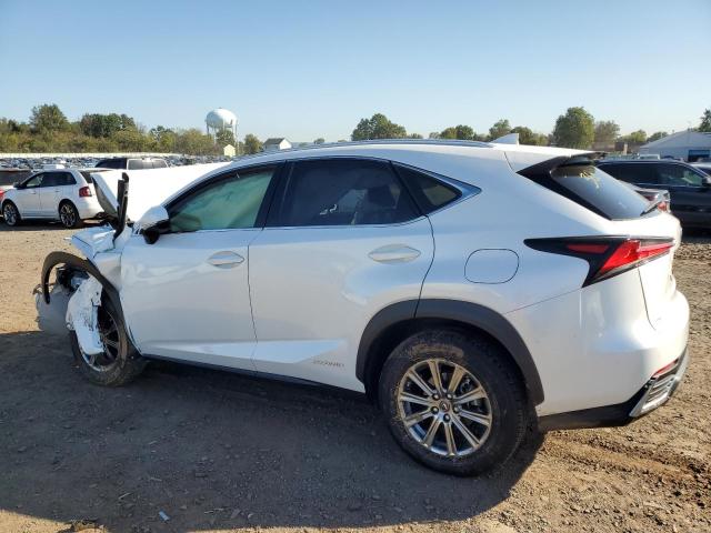 Image 2 of 2021 LEXUS NX 300H BASE 2021 with VIN JTJDJRDZ9M5011208