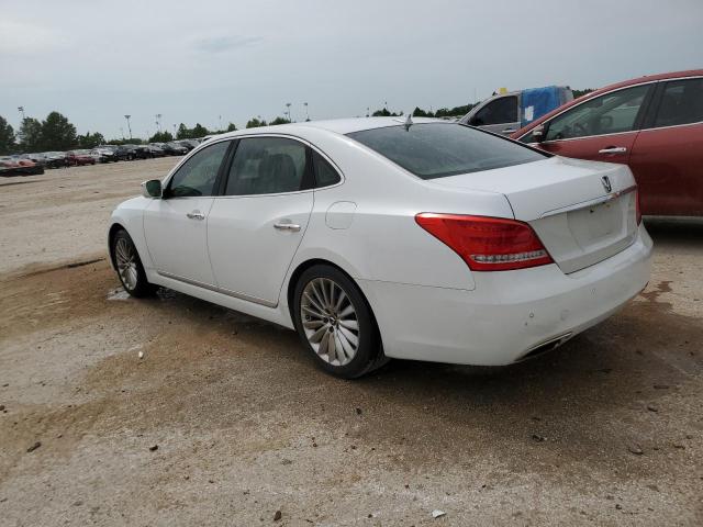 Image 2 of 2014 HYUNDAI EQUUS SIGNATURE 2014 with VIN KMHGH4JH1EU076194