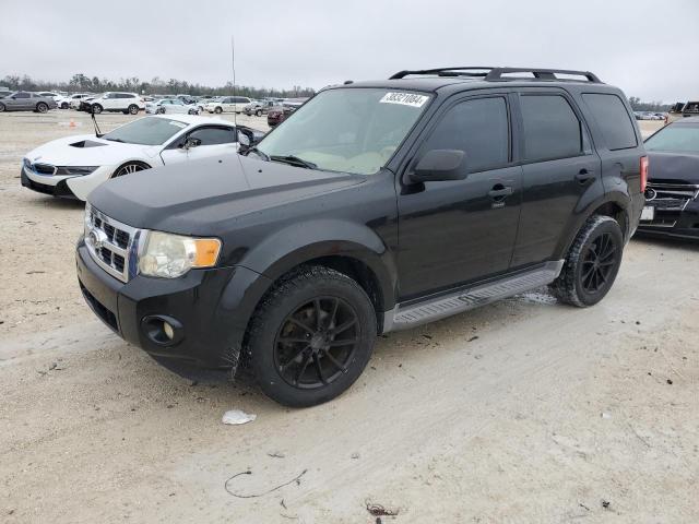 Obraz 2011 FORD ESCAPE XLT 2011