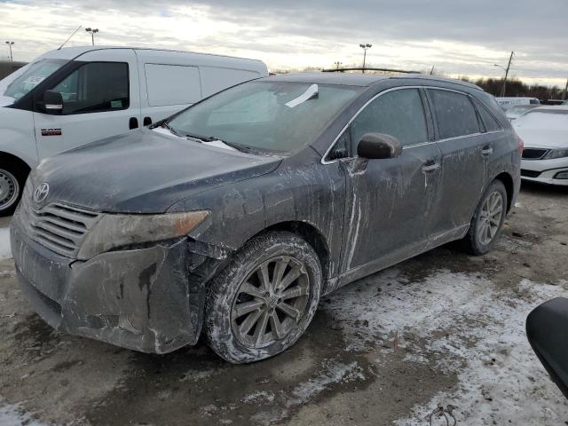 2010 TOYOTA VENZA  2010 image