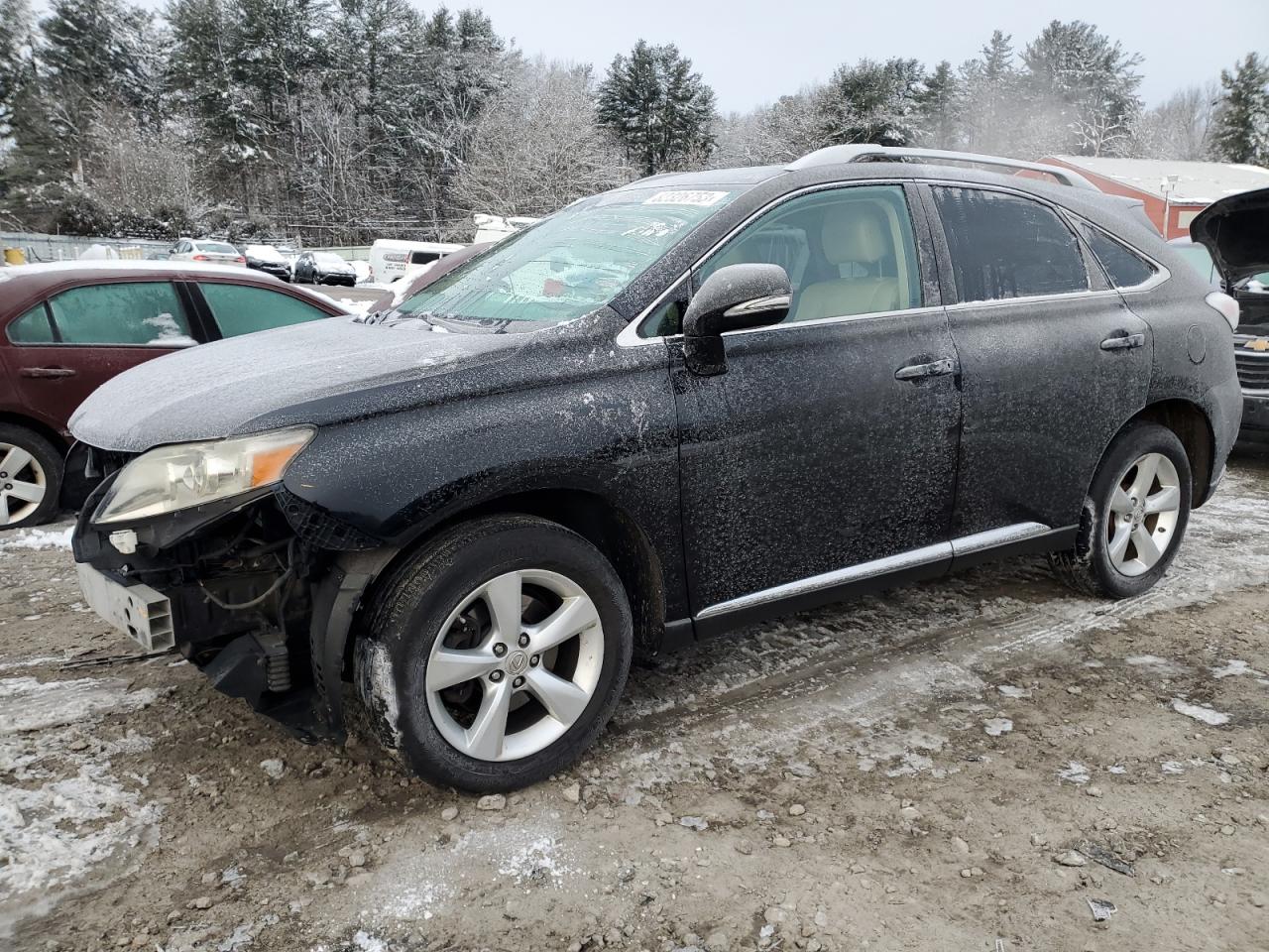 2010 LEXUS RX 350 2010 image