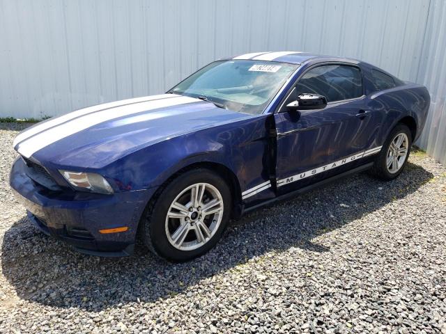 Изображение 1 2010 FORD MUSTANG  2010 с VIN 1ZVBP8ANXA5163477