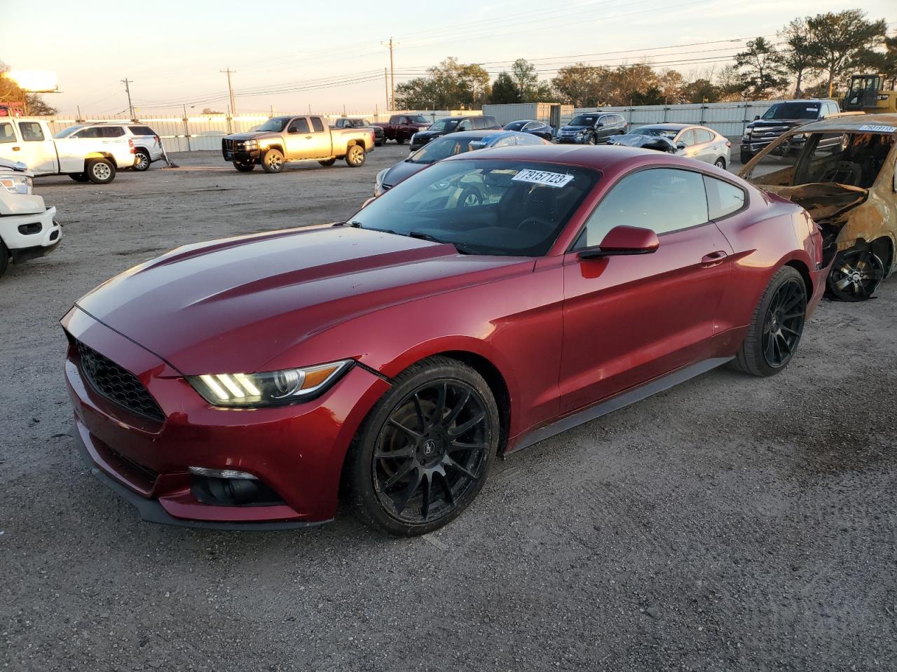 Obraz 1 z 2015 FORD MUSTANG  2015 z VIN 1FA6P8AM2F5388159