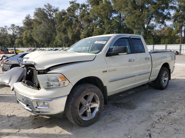Obraz 2010 DODGE RAM 1500  2010