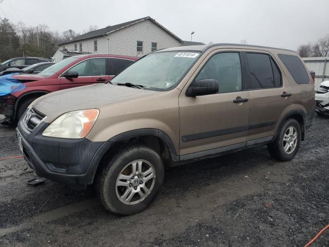 2003 HONDA CR-V EX 2003 image