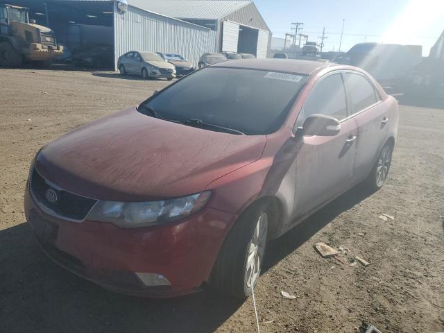 Obraz 2010 KIA FORTE SX 2010