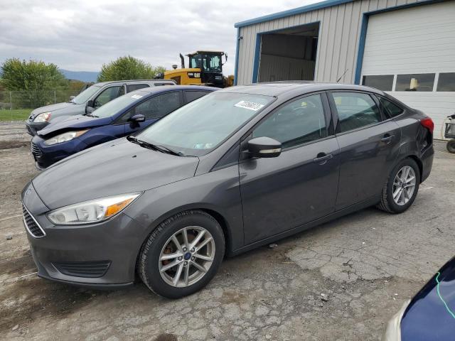 2015 FORD FOCUS SE 2015 image