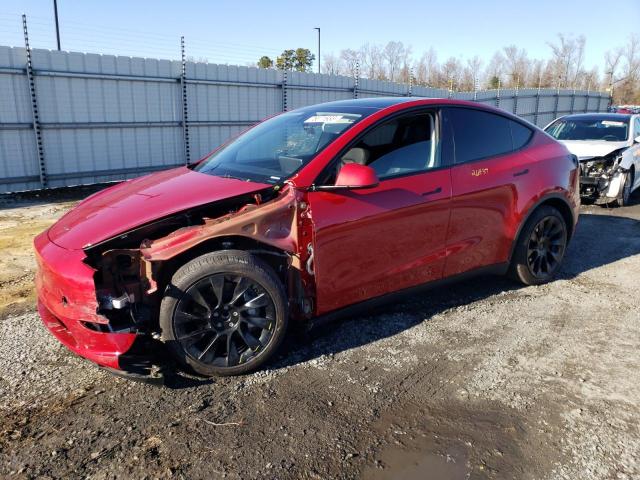 2023 TESLA MODEL Y  2023 image
