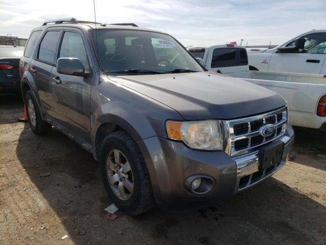 Obraz 2010 FORD ESCAPE LIMITED 2010