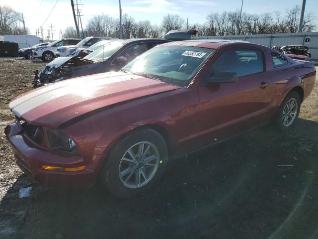 Image 1 of 2005 FORD MUSTANG  2005 with VIN 1ZVFT80N155240290