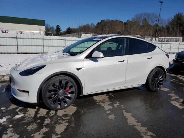 2023 TESLA MODEL Y  2023 image