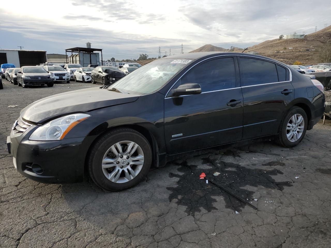 Obraz 2010 NISSAN ALTIMA HYBRID 2010