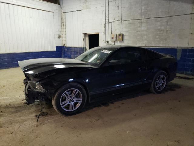 2013 FORD MUSTANG  2013 image