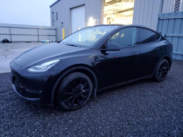 Obraz 2021 TESLA MODEL Y  2021