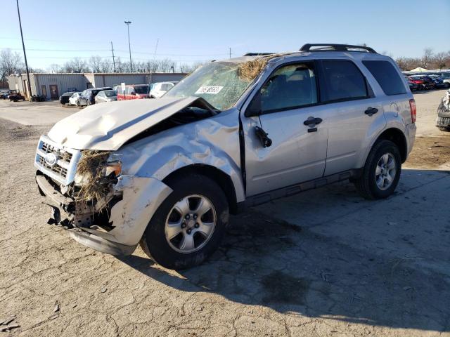 Изображение 2009 FORD ESCAPE XLT 2009