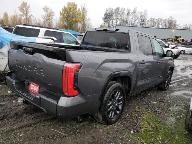 Image 3 of 2023 TOYOTA TUNDRA CREWMAX PLATINUM 2023 with VIN 5TFNA5DB3PX103913