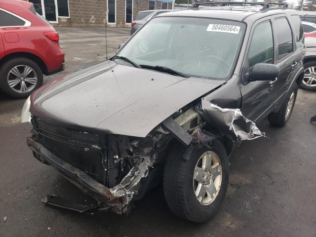 Obraz 2006 FORD ESCAPE LIMITED 2006
