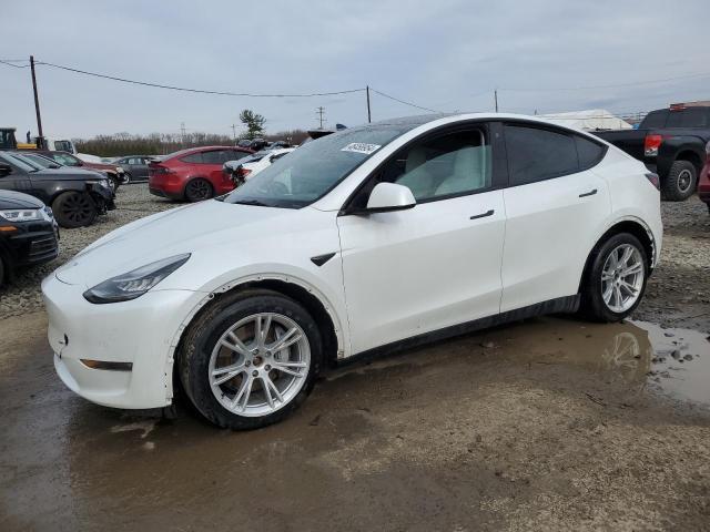 Изображение 2022 TESLA MODEL Y  2022