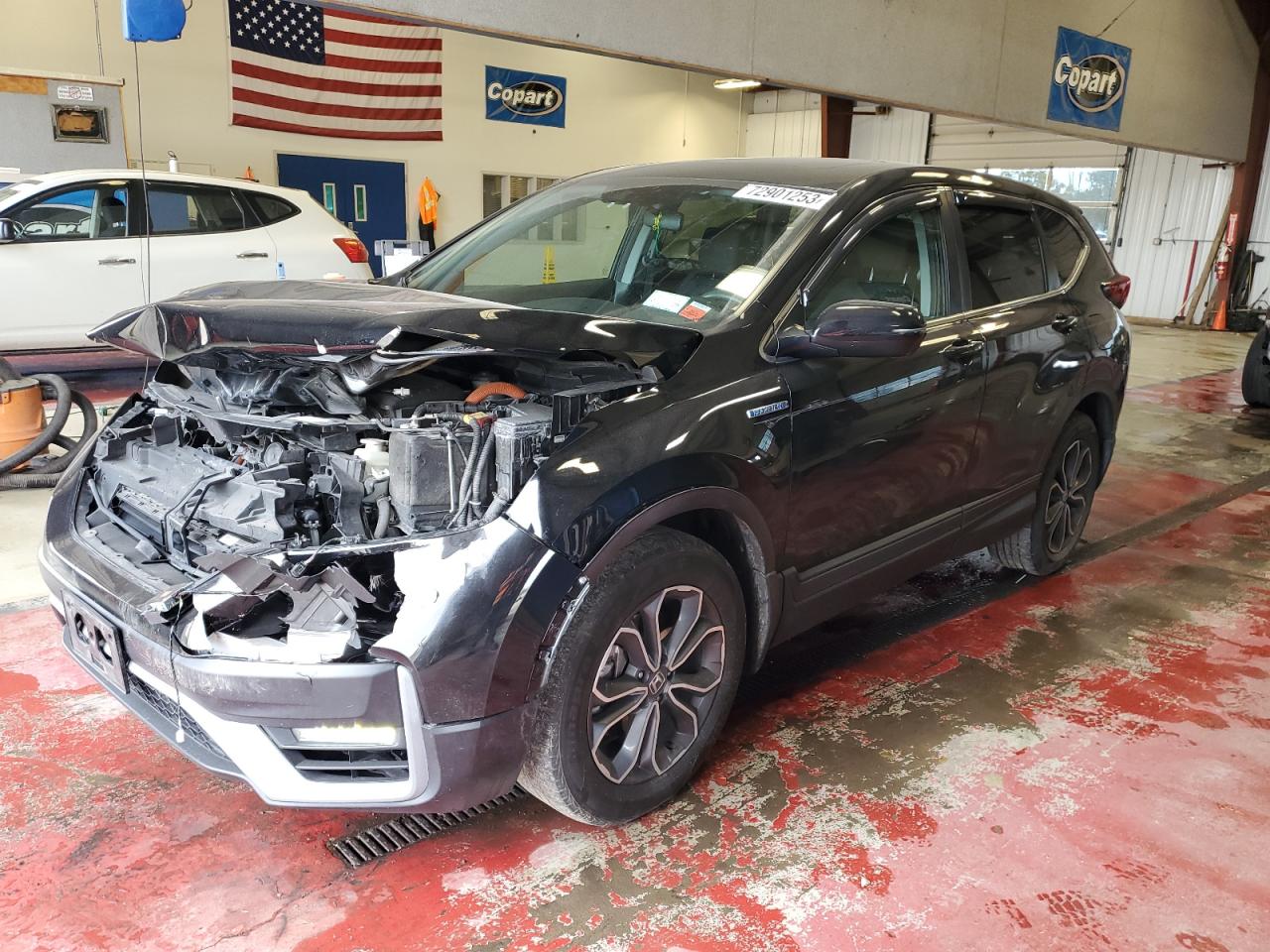 2020 HONDA CR-V EX 2020 image