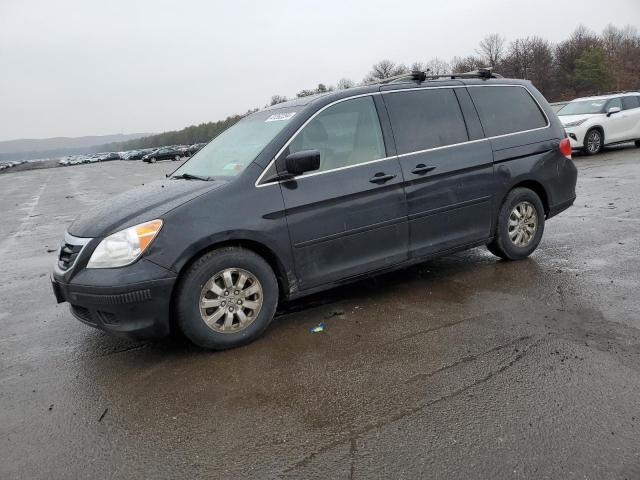 2008 HONDA ODYSSEY EXL 2008 image