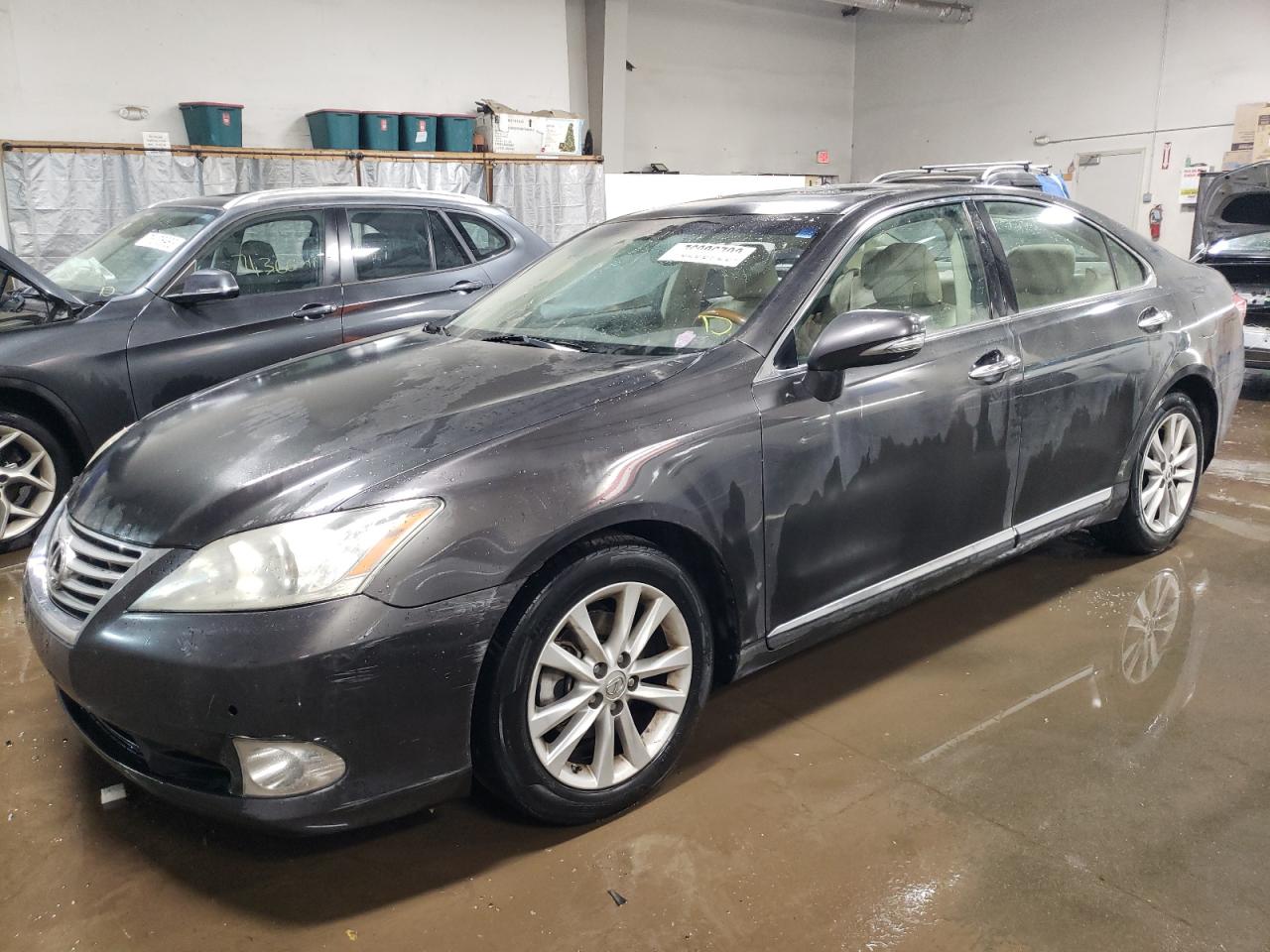 2011 LEXUS ES 350 2011 image