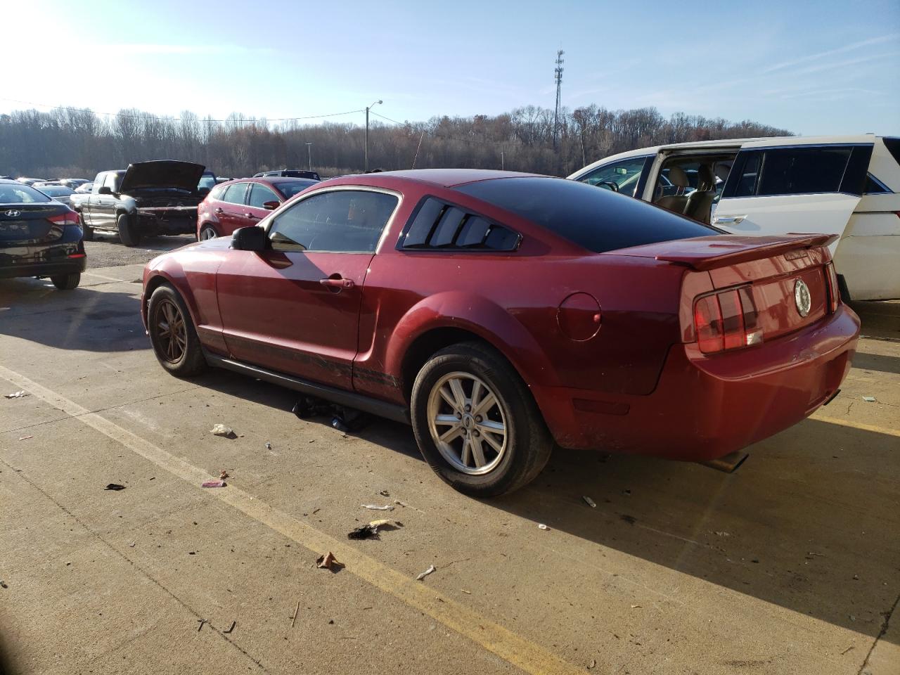 Изображение 2 2009 FORD MUSTANG  2009 с VIN 1ZVHT80N695109418