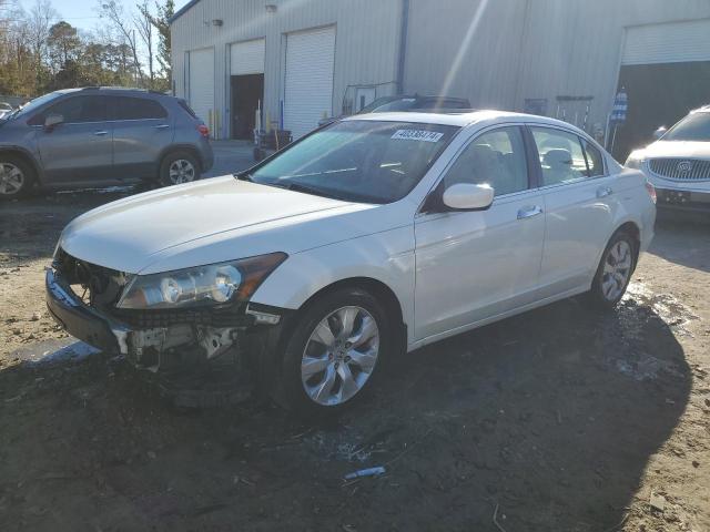 2008 HONDA ACCORD EXL 2008 image
