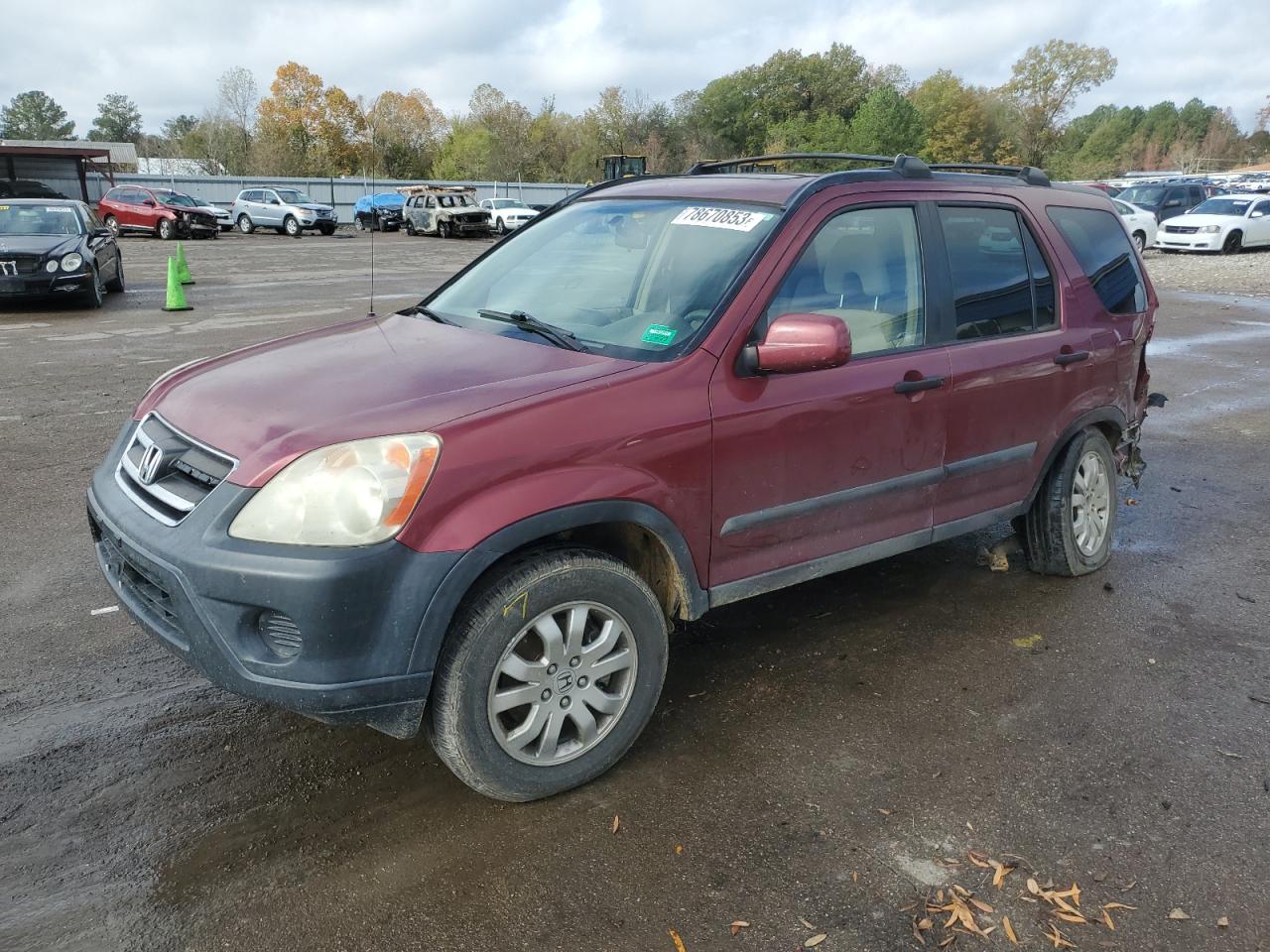 2005 HONDA CR-V EX 2005 image