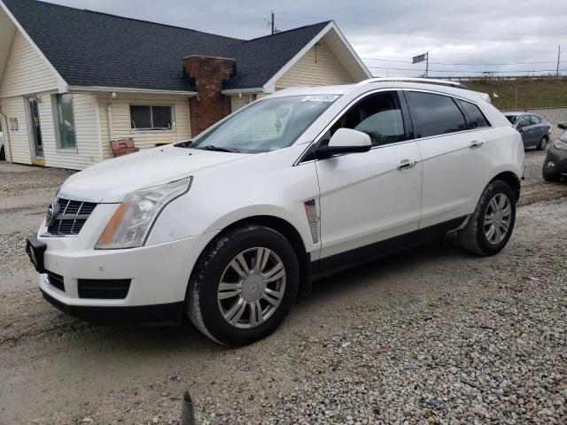 Obraz 1 z 2012 CADILLAC SRX LUXURY COLLECTION 2012 z VIN 3GYFNAE38CS525965