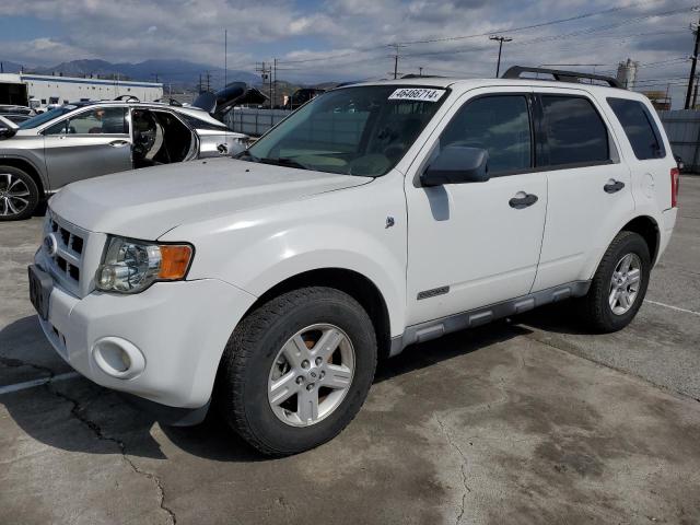 2008 FORD ESCAPE HEV 2008 image