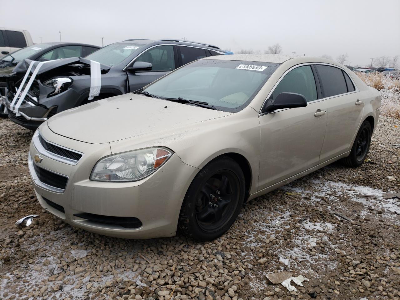 2011 CHEVROLET MALIBU LS 2011 image
