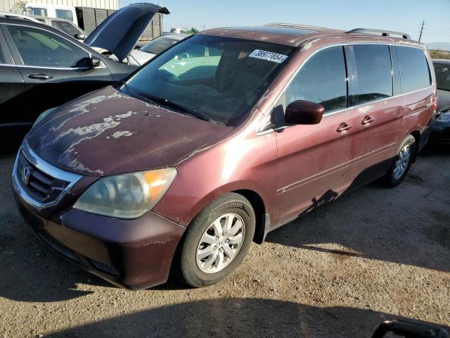 2008 HONDA ODYSSEY EXL 2008 image