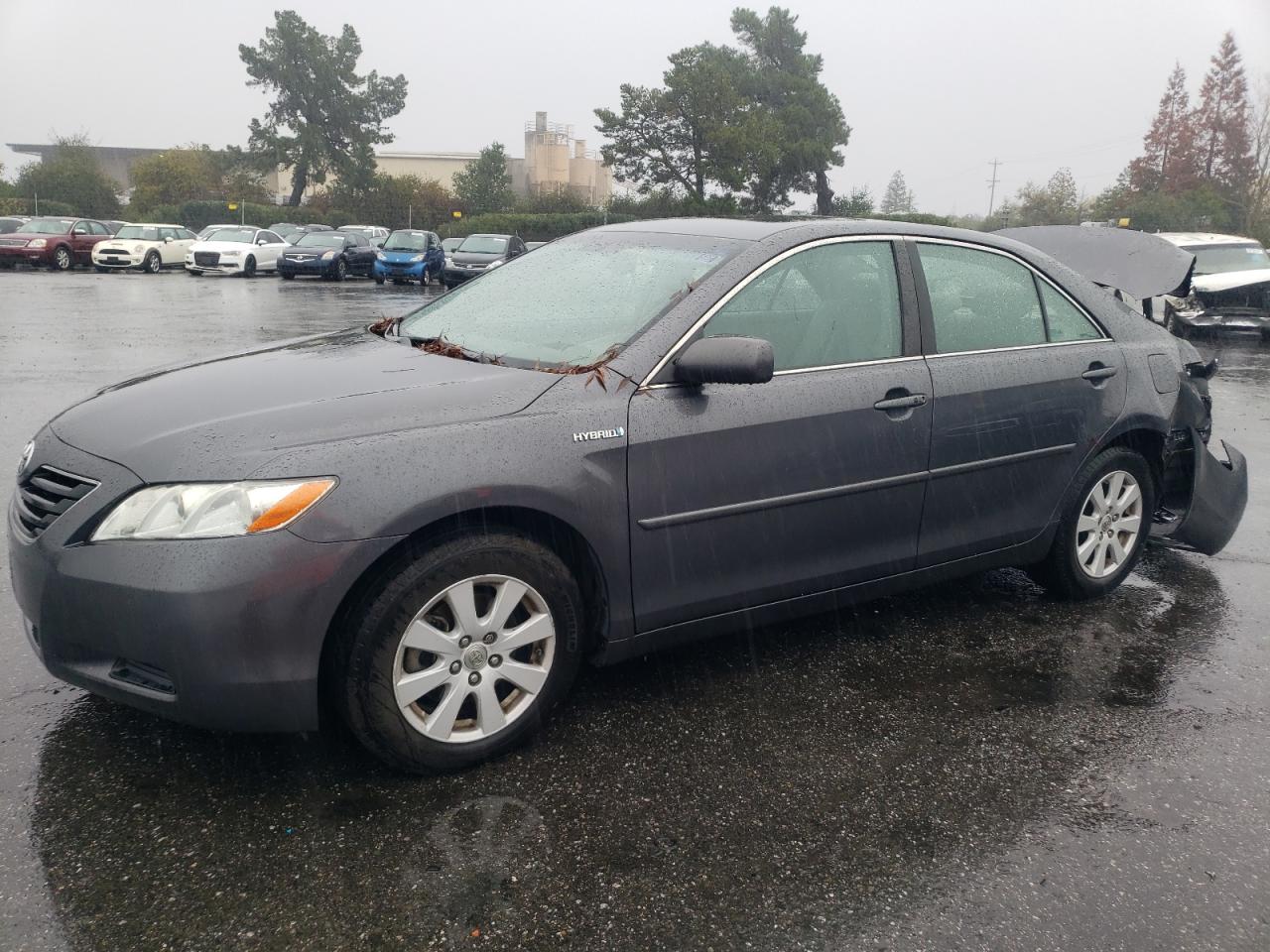 2009 TOYOTA CAMRY HYBRID 2009 image