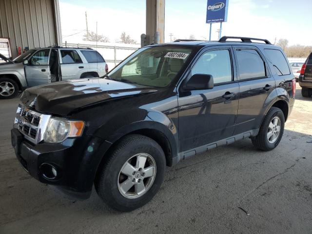 2010 FORD ESCAPE XLT 2010 image