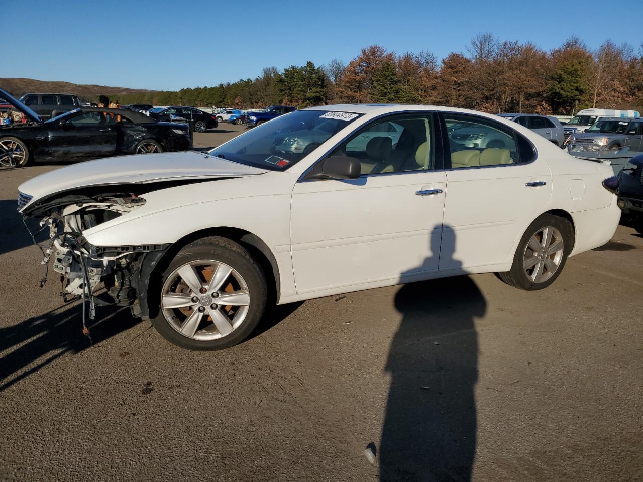 2005 LEXUS ES 330 2005 image