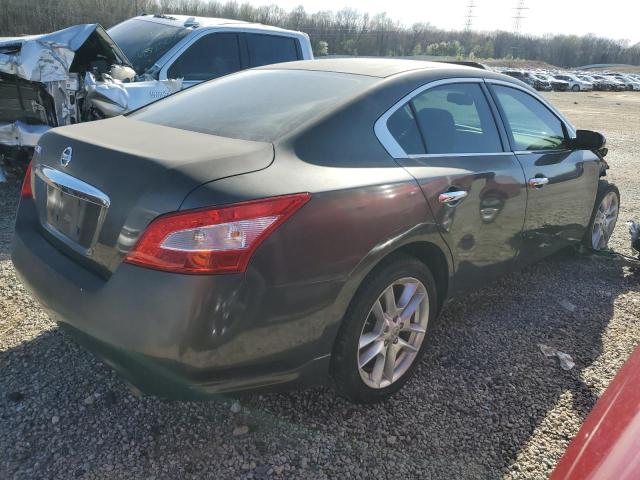 Изображение 3 2009 NISSAN MAXIMA S 2009 с VIN 1N4AA51E99C822774