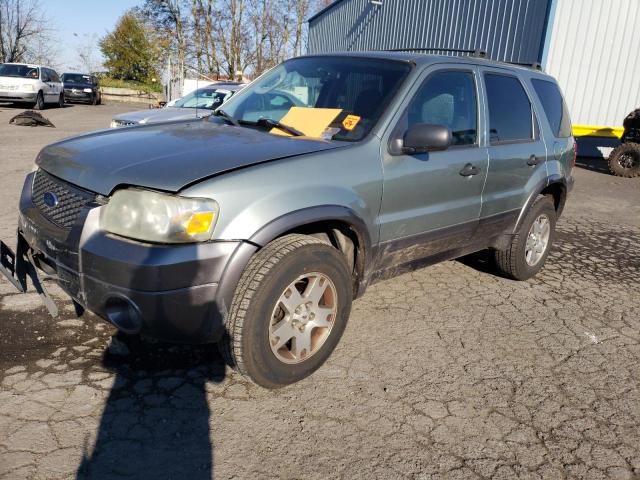 2005 FORD ESCAPE XLT 2005 image