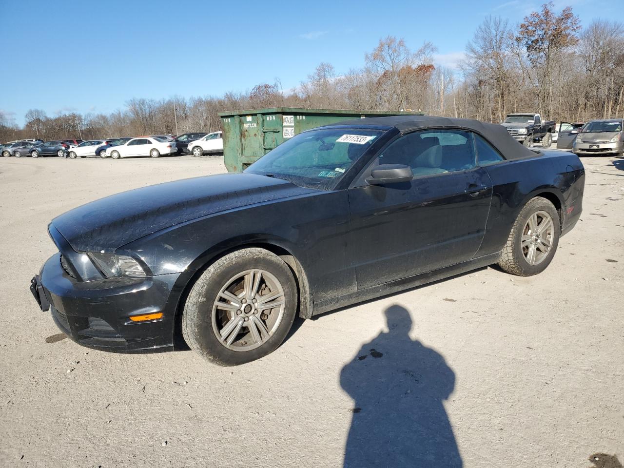 2013 FORD MUSTANG  2013 image