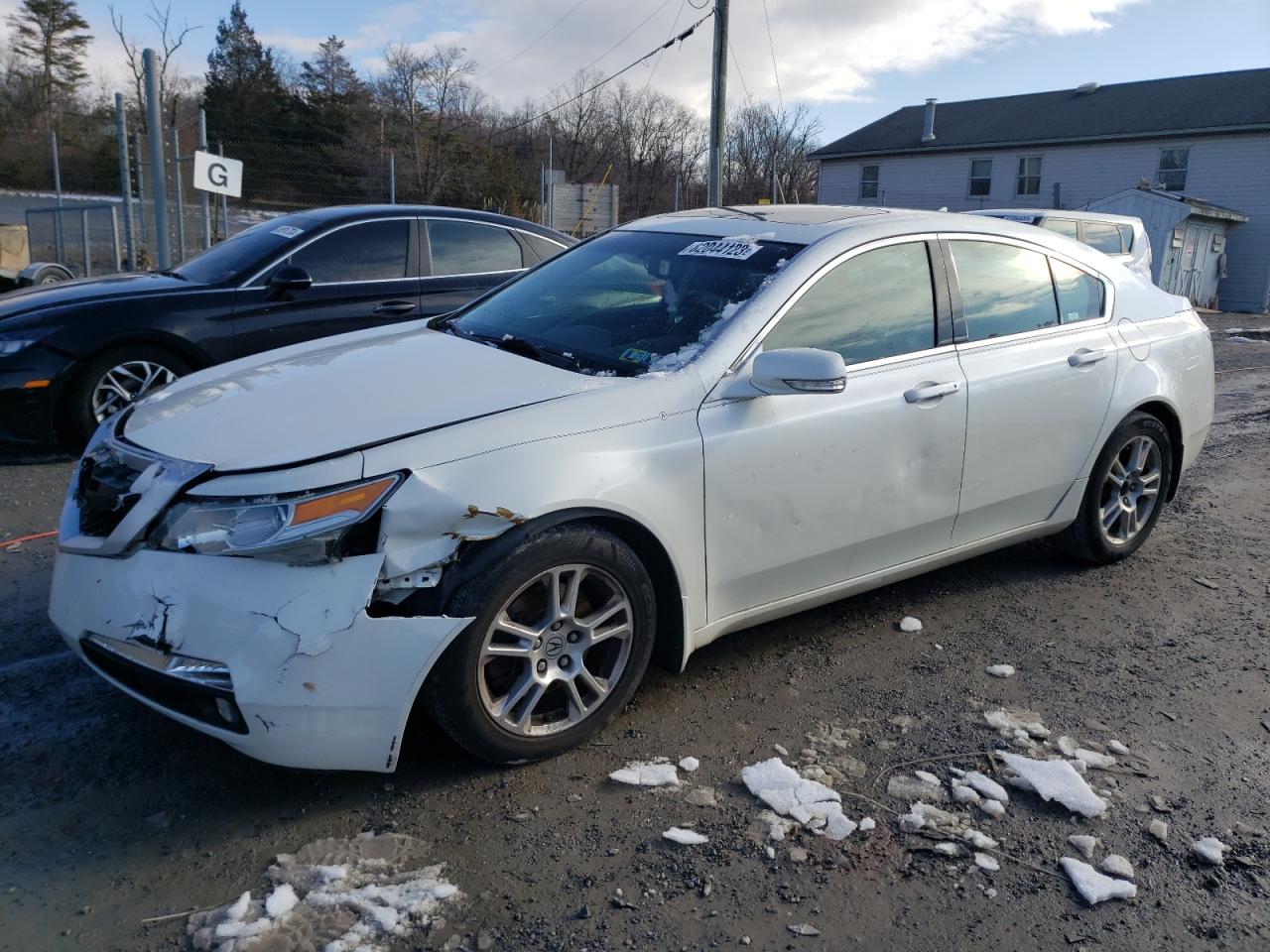 Изображение 2009 ACURA TL  2009