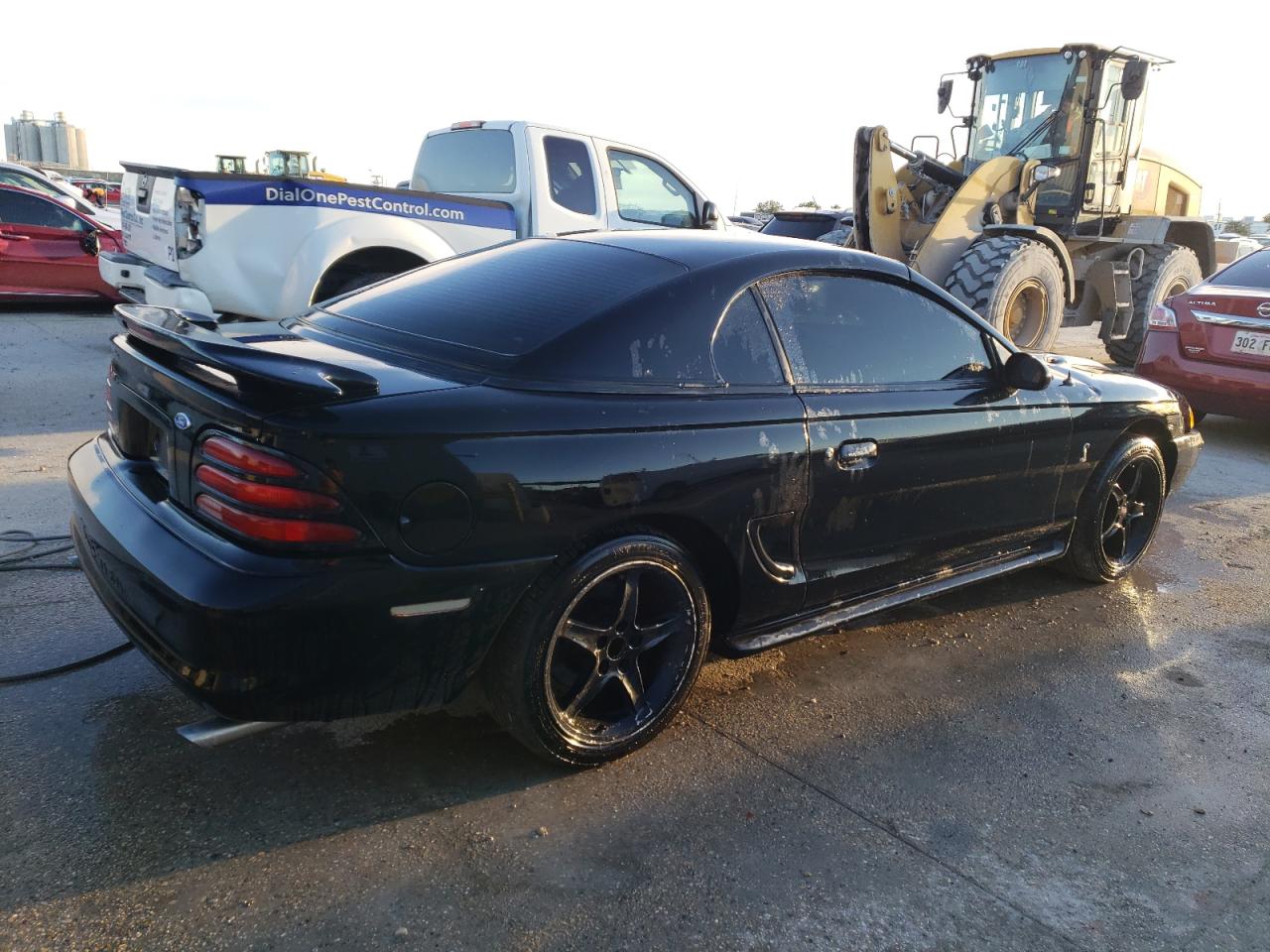 Obraz 3 z 1995 FORD MUSTANG COBRA SVT 1995 z VIN 1FALP45D0SF193512