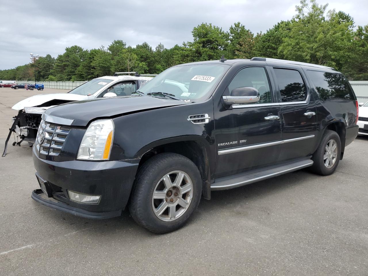 Obraz 2011 CADILLAC ESCALADE ESV LUXURY 2011
