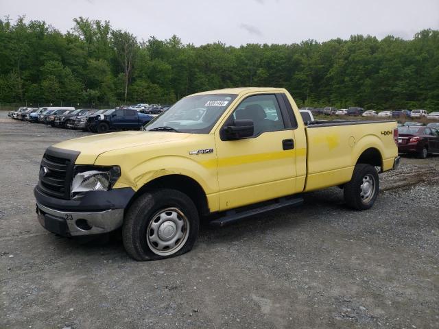 Obraz 2013 FORD F150  2013