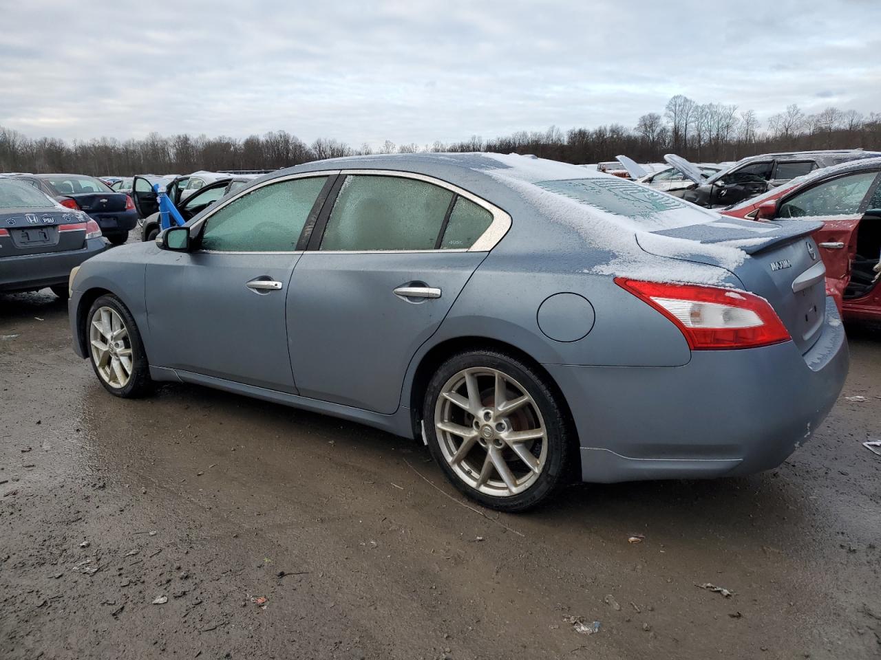 Изображение 2 2010 NISSAN MAXIMA S 2010 с VIN 1N4AA5AP8AC813599