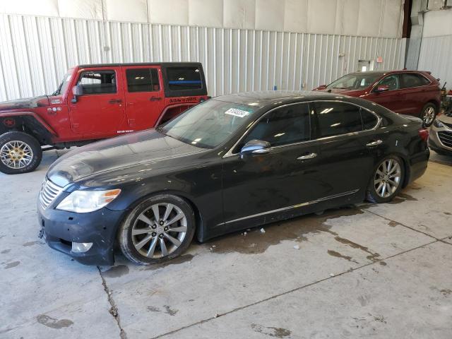 Obraz 2010 LEXUS LS 460 2010