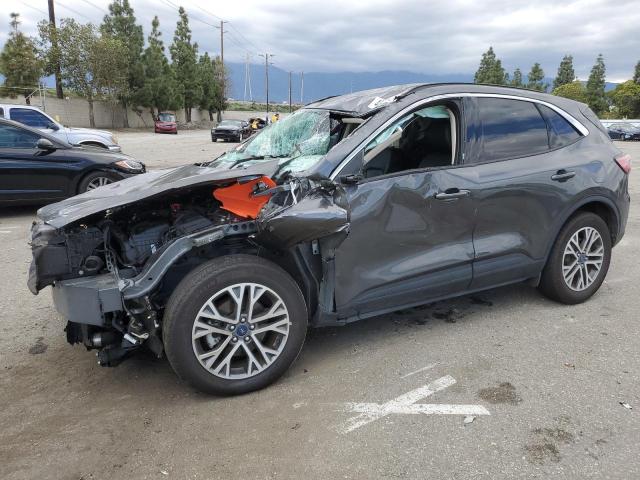 2020 FORD ESCAPE SEL 2020 image