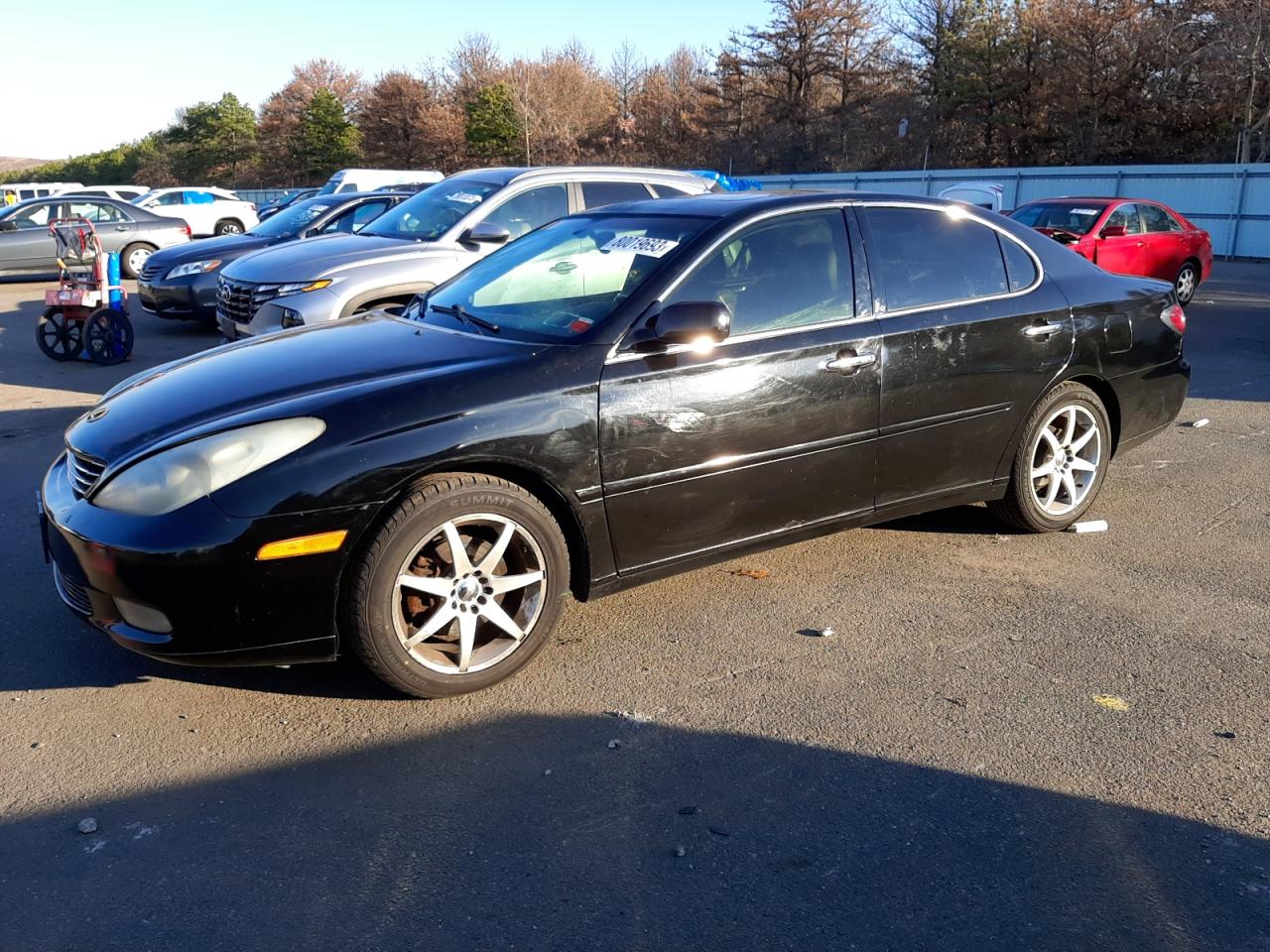 Obraz 2004 LEXUS ES 330 2004