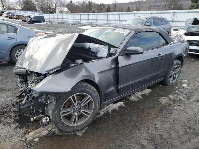 Obraz 1 z 2013 FORD MUSTANG  2013 z VIN 1ZVBP8EM2D5236475